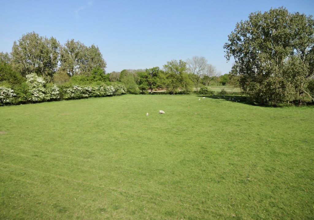 Astologers-lot-2b.jpg