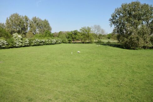 Astologers-lot-2b.jpg