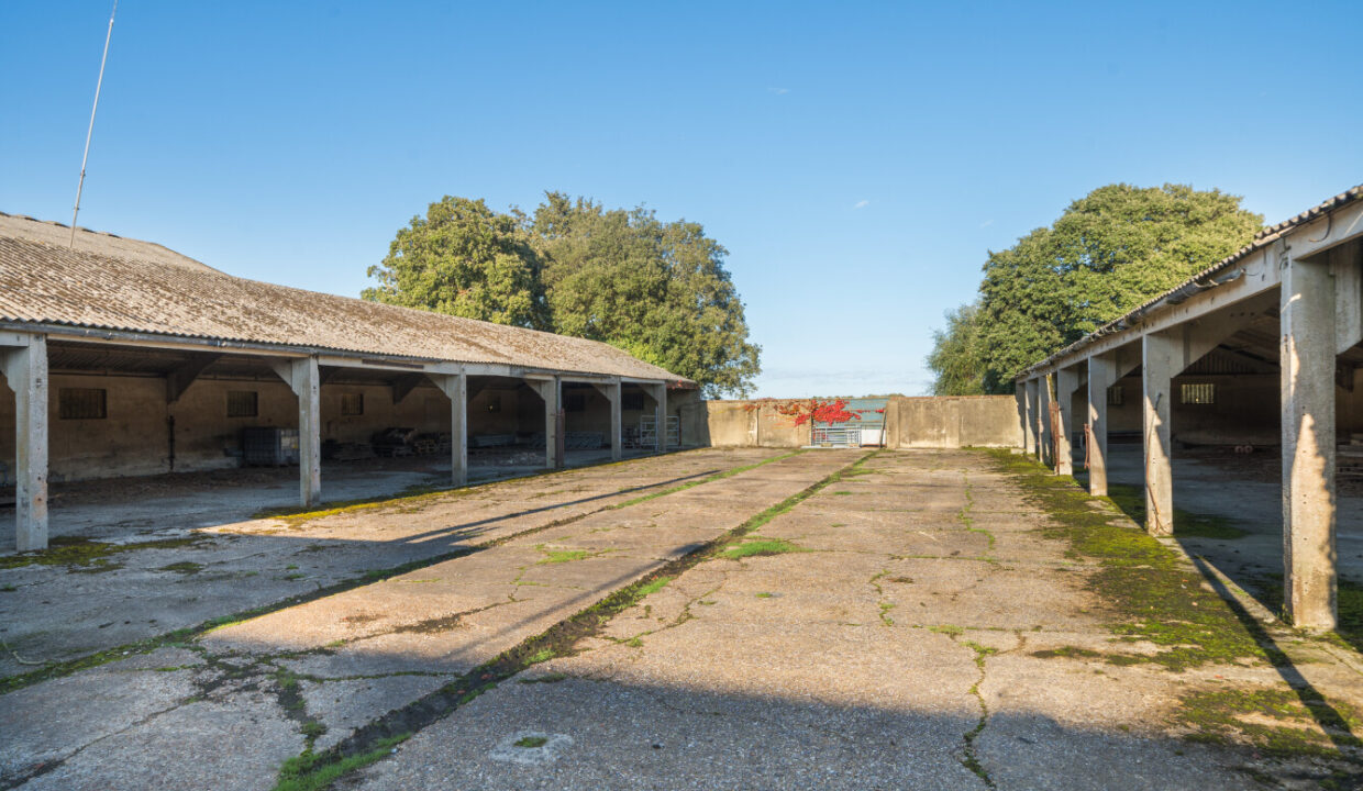 LF003672-20