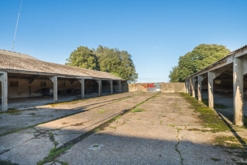 LF003672-20